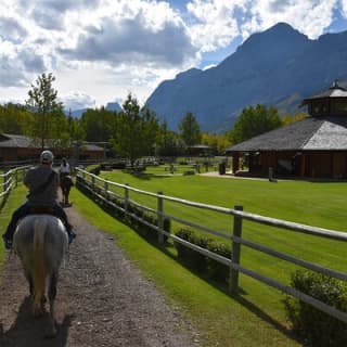 Buffalo Loop 1-Hour Horseback Trail Ride in Kananaskis