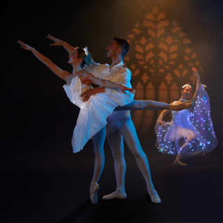Ballet of Lights: Sleeping Beauty in a Sparkling Show