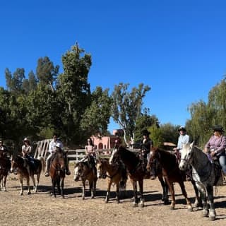 Guided 2 Hour Horseback Ride Catalina State Park Coronado Forest