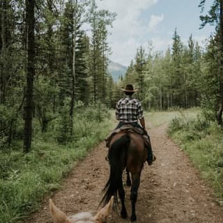 Buffalo Loop 1-Hour Horseback Trail Ride in Kananaskis