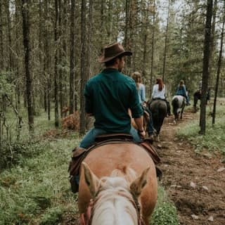 Buffalo Loop 1-Hour Horseback Trail Ride in Kananaskis