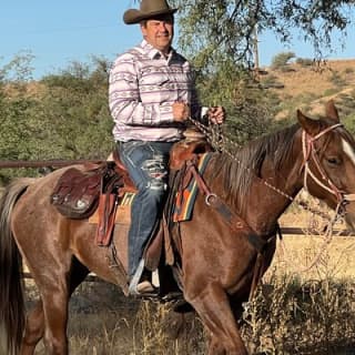 Guided 2 Hour Horseback Ride Catalina State Park Coronado Forest