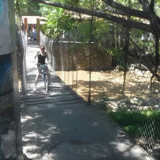 Private Tour in El Malecon Boardwalk Bike Ride