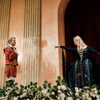 The 90-Minute Opera – Vienna – Tickets | Fever
