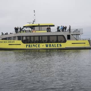 Half-Day Whale Watching Adventure from Vancouver