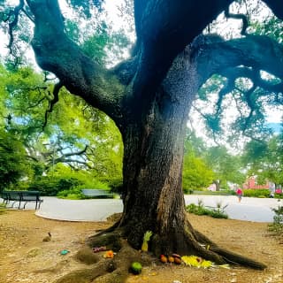 Nola Voodoo Walking Tour with High Priestess Guide in New Orleans