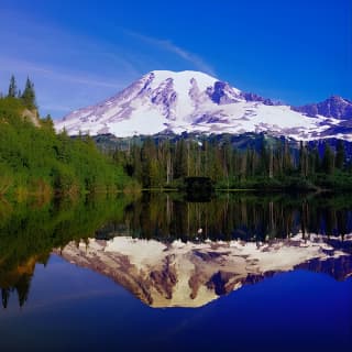 Mt. Rainier Day Tour from Seattle