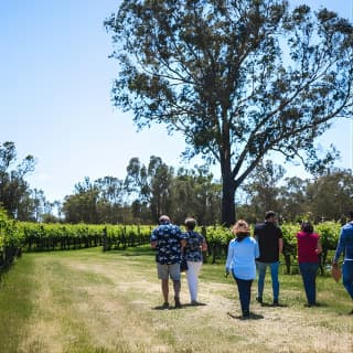 Upper Reach Winery: Swan Valley Winery and Vineyard Tour