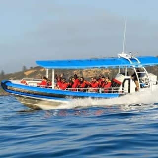 Hunter Coastal Adventure Tour by Boat from Newcastle