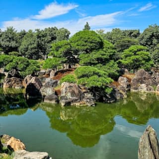 モンロー　城景都　Y152 モンロー 城景都 Y152