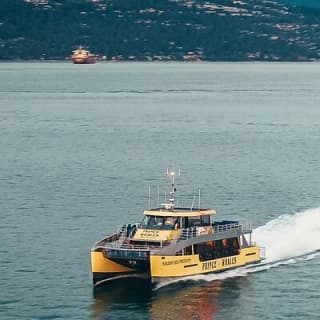 Half-Day Whale Watching Adventure from Vancouver