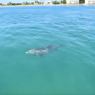 Half-Day Private Tiki Boat Beach Tour from Fort Myers