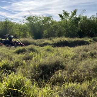 Fort Meade : Orlando : Dune Buggy Adventures