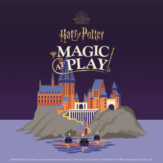 Harry Potter™: Magic at Play Gift Shop