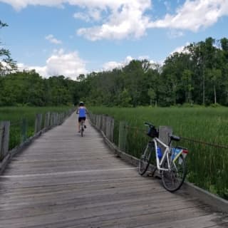 Bike Rental to Mount Vernon