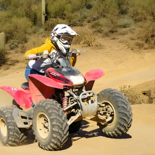 Guided Arizona Desert Tour by ATV