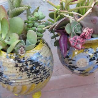 2- Hour Pottery Workshop and Studio Tour in Ojai