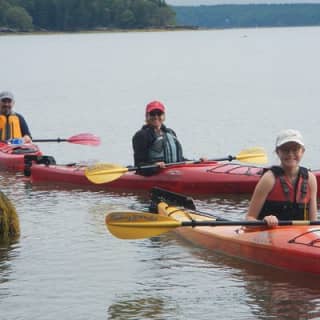 Oyster Farm & Complimentary Tasting Sea Kayak Tour in Casco Bay