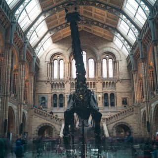 London Natural History Museum Dinosaur Discovery Family Tour