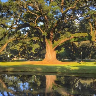 Houmas House Plantation Guided Tour