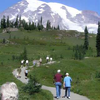 Mt. Rainier Day Tour from Seattle