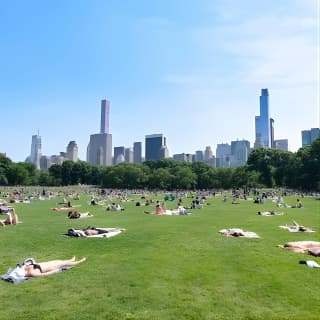 Central Park Guided Walking Tour in French