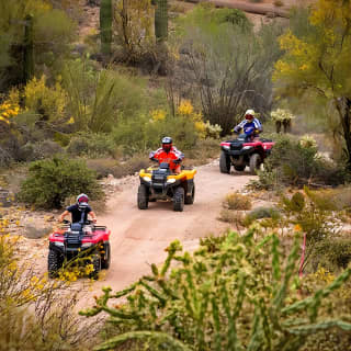 Guided Arizona Desert Tour by ATV