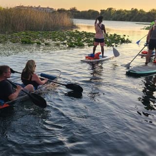 Urban Clear Kayak or Clear Paddleboard in Paradise: Morning.Night