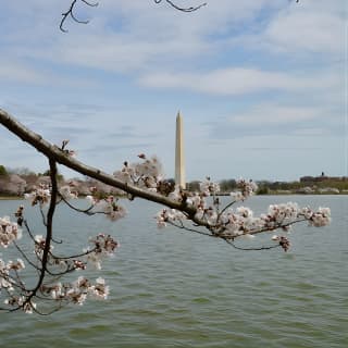 Guided National Mall Sightseeing Tour with 10 Top Attractions