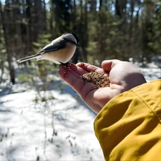 Algonquin Provincial Park Day Tour from Toronto