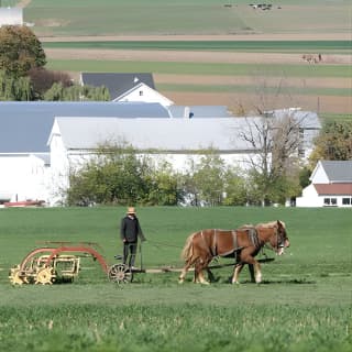 Premium Amish Country Tour including Amish Farm and House