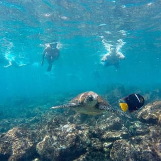 Full Day Tour Pinzon Island + La Fe.Las Palmas - Snorkeling & Fishing