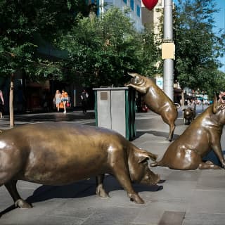 Guided Walking Tour in Adelaide