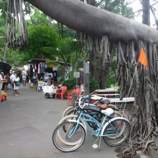 Private Tour in El Malecon Boardwalk Bike Ride