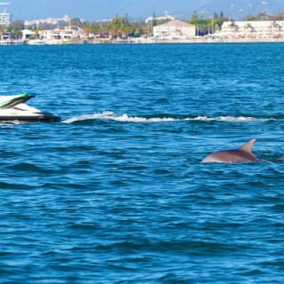 1hr Jet Ski Safari