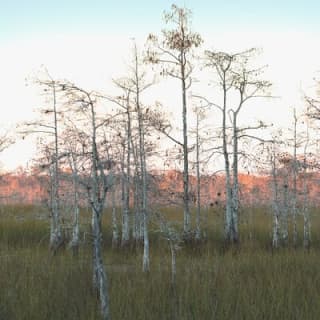 Big Cypress National Preserve Self Guided Driving Audio Tour
