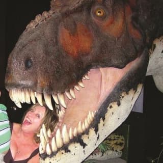 Branson Dinosaur Museum Admission Ticket