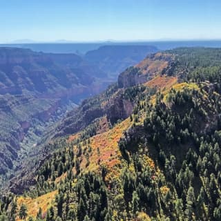 Grand Canyon: 45-Min. Aerial Tour by Airplane