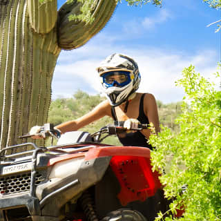 Guided Arizona Desert Tour by ATV