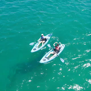 Guided Kayak Tour of Manly Cove Beaches