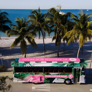 Flamingo Bus Miami Tour