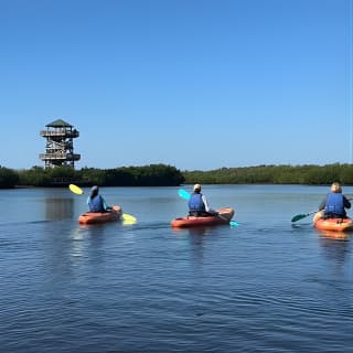 2 Hours Guided Robinson Preserve Mangrove Tour