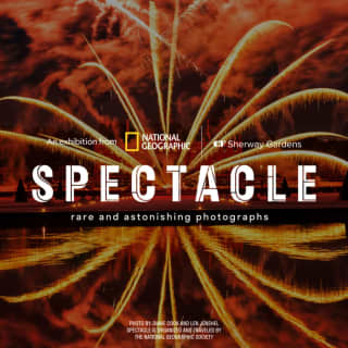 SPECTACLE: Rare and Astonishing Photographs