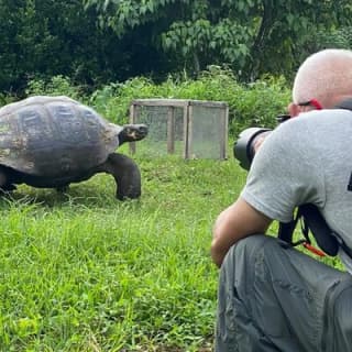 Private Tour Sighting Giant Tortoises and Lava Tunnels