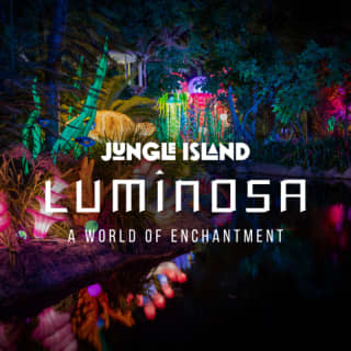 Luminosa: A World of Enchantment