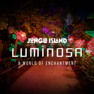 Luminosa: A World of Enchantment