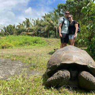 Private Tour Sighting Giant Tortoises and Lava Tunnels