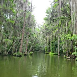 Half day kayak and paddle board rentals on the scenic Dora Canal