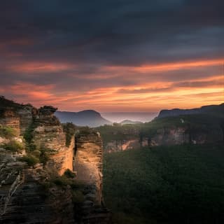 Late Start Blue Mountains Nature, Waterfalls, Koalas Small Group 