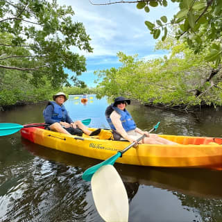 2 Hours Guided Robinson Preserve Mangrove Tour